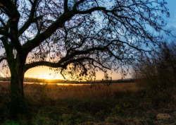 superbnature:  Attenborough Sunrise - [Explored] Thanks! by Richstroller http://flic.kr/p/jwx8Qu 