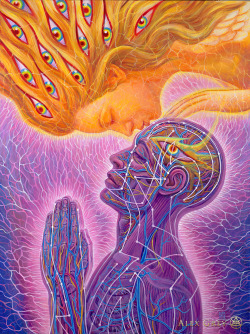 fuckyeahalexgrey:  Alex Grey - Progress of the Soul pt. 51 “Kiss of the Muse”