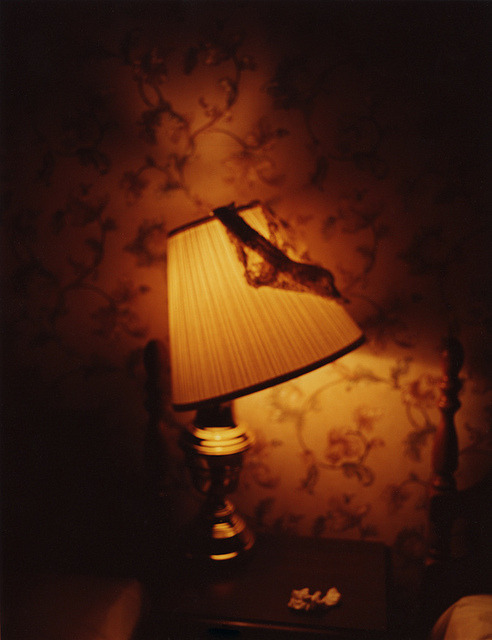 chromogenic print 16x20 one of my first final prints for my show