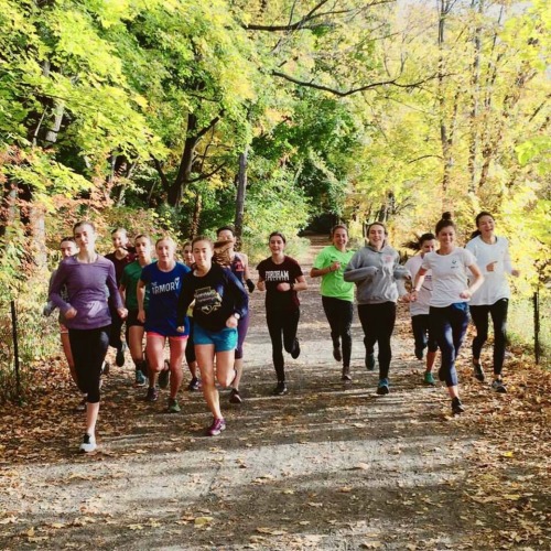 run-hungry-taste-victory: running through crunchy leafs is a whole new experience