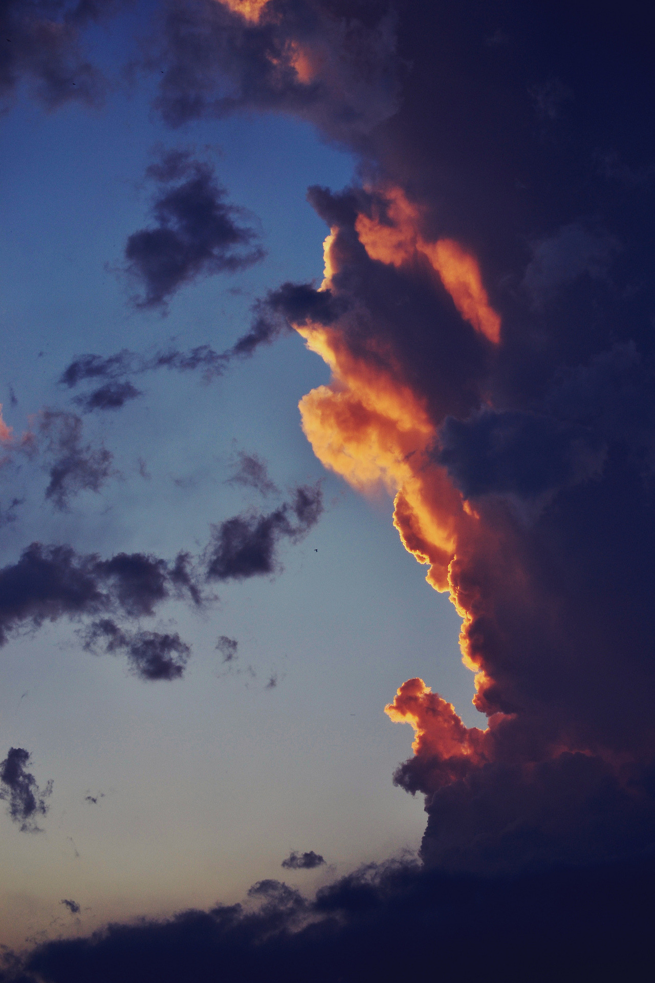 words-of-emotion:
