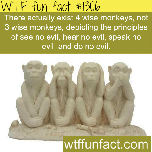 wtf-fun-factss:  Three wise monkeys - facts MORE OF WTF FACTS are coming HERE wise monkeys, movies  and fun