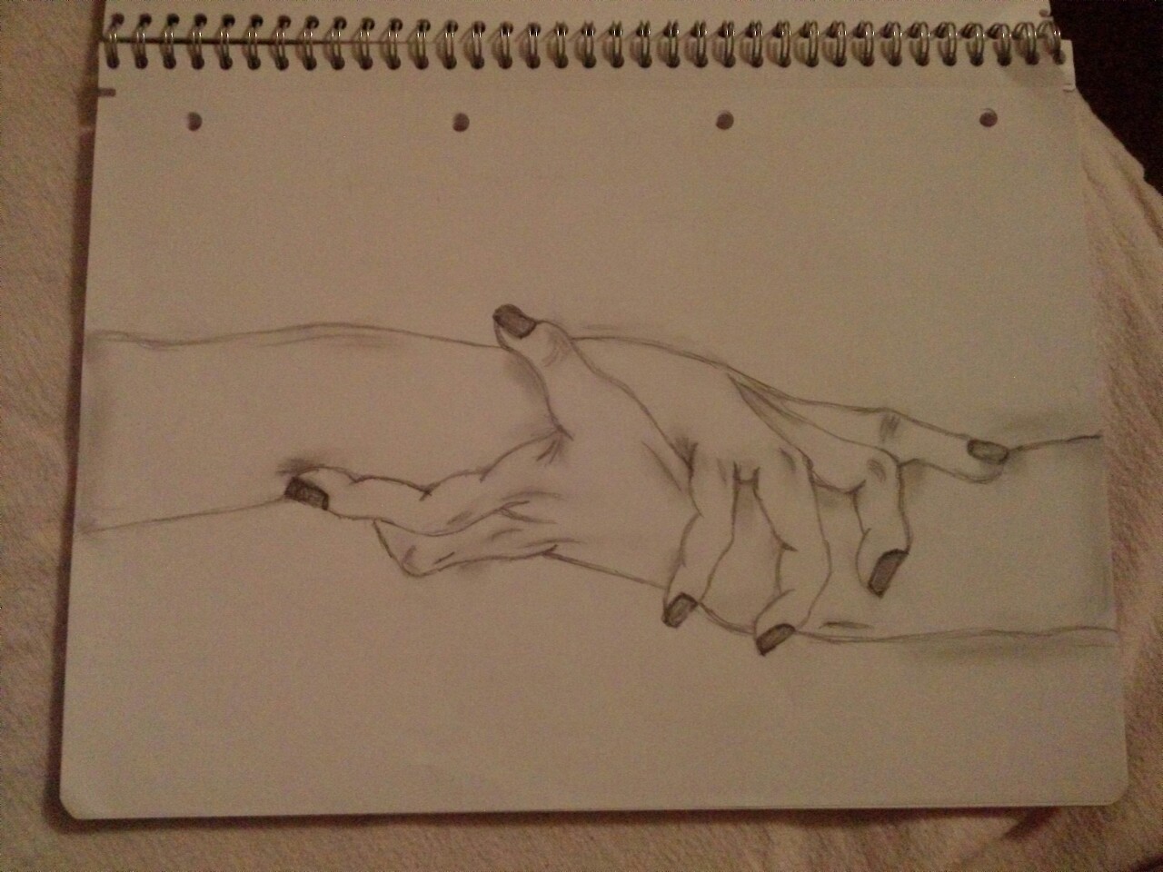 angepisst:  my drawing 