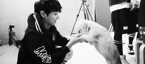 bombtan:  Jungkook playing with dog ;w;       
