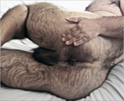 backfur:  www.tumblr.com/follow/backfur Daily updates of BEAR/HAIRY/BEEF/DADDY 