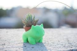 insanelygaming:  Bulbasaur Planter Created by PrintAworld via   moon83     Those cause cancer you dumb b*tch.