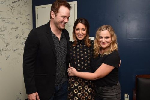 Parks and Recreation Mini-Reunion