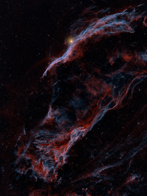 the-universe-njo: Veil Nebula / سديم الحجاب