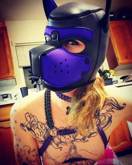 clankess123: New puppy hood came in today