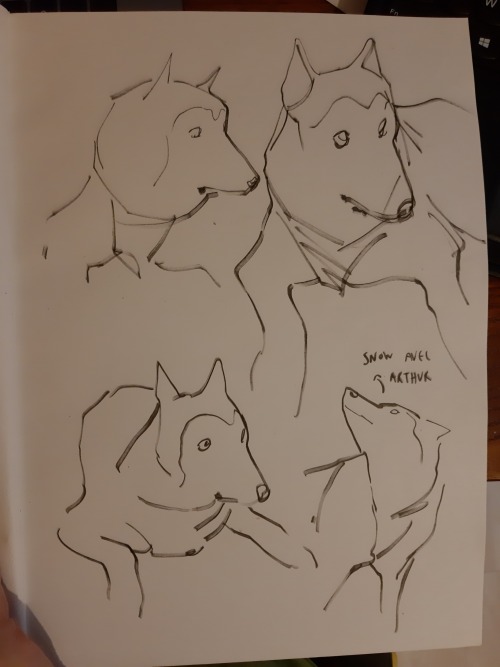 So I Finished My Last Sketchbook In Ten Days Yesterday. So I Told Myself "this Time We'll Go Slow" And