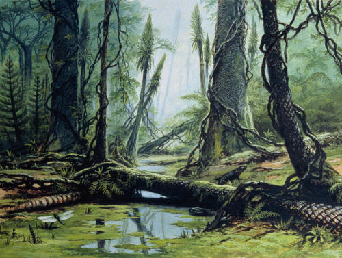 Paisagem do período carbonífero, com uma Meganeura e alguns anfíbios.Carboniferous period scene, fea