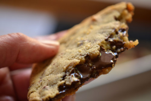 callie-quite-contrary: tango-mango: This recipe makes only two cookies. Albeit, two big, beautiful&n