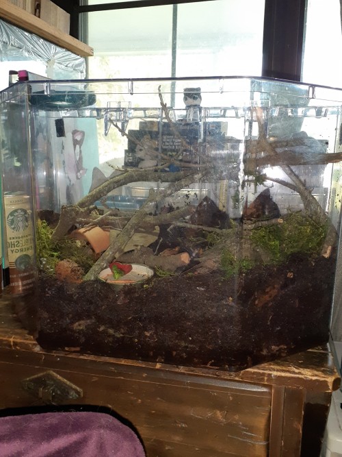 Millipedes Got A Huge Upgrade. I'm Super Happy With It