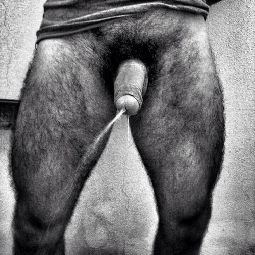 I Like Hairy Beefy Men