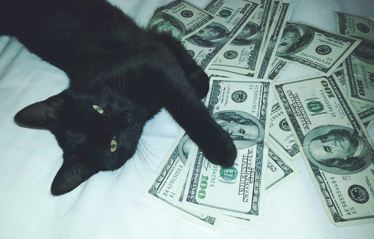 trapqueenxiii:  