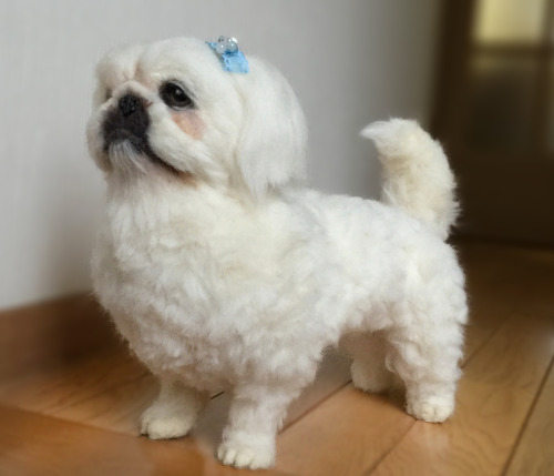 It is a pi-chan of fluffy Pekingese.Recently, I have gone to heaven.I made a needle felt at the requ