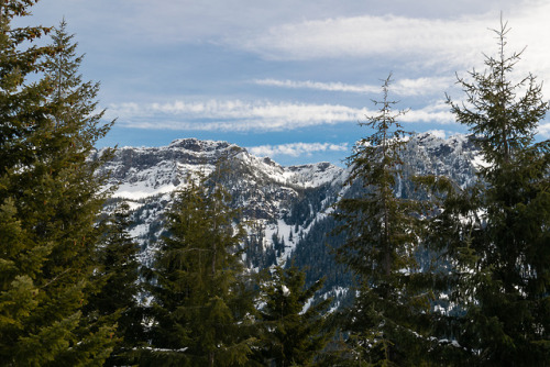 8/52 Hike Challenge: Kendall Peak TrailFiiiinally pleased with some of my work! We only hiked out to