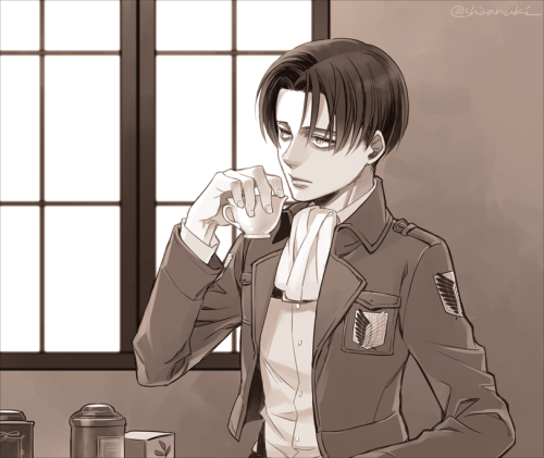 shira-aot:   商会から紅茶を入手してご満悦な兵長