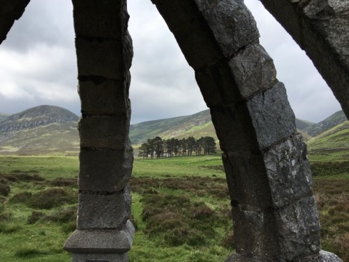 Queens Well, Glen Esk, Scotland June 2018