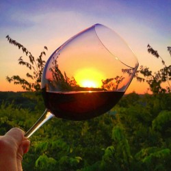 oldmonkfantasy:  Wine sets Sunset  