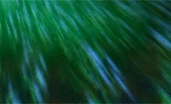 eternal-sailormoon:  Sailor Moon Crystal Opening [1/?] 