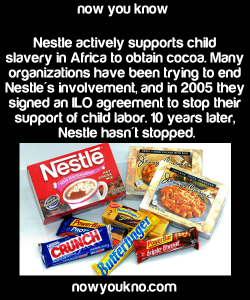 englishbullfrog:  murderwhitepeople:elionking:blackraystyles:destinysfetus:  blexicana:  nothing2apologize4:smidgetz:nowyoukno:  Source for more facts follow NowYouKno  Nestle also doesn’t think that water is an essential human right.  melanin-101