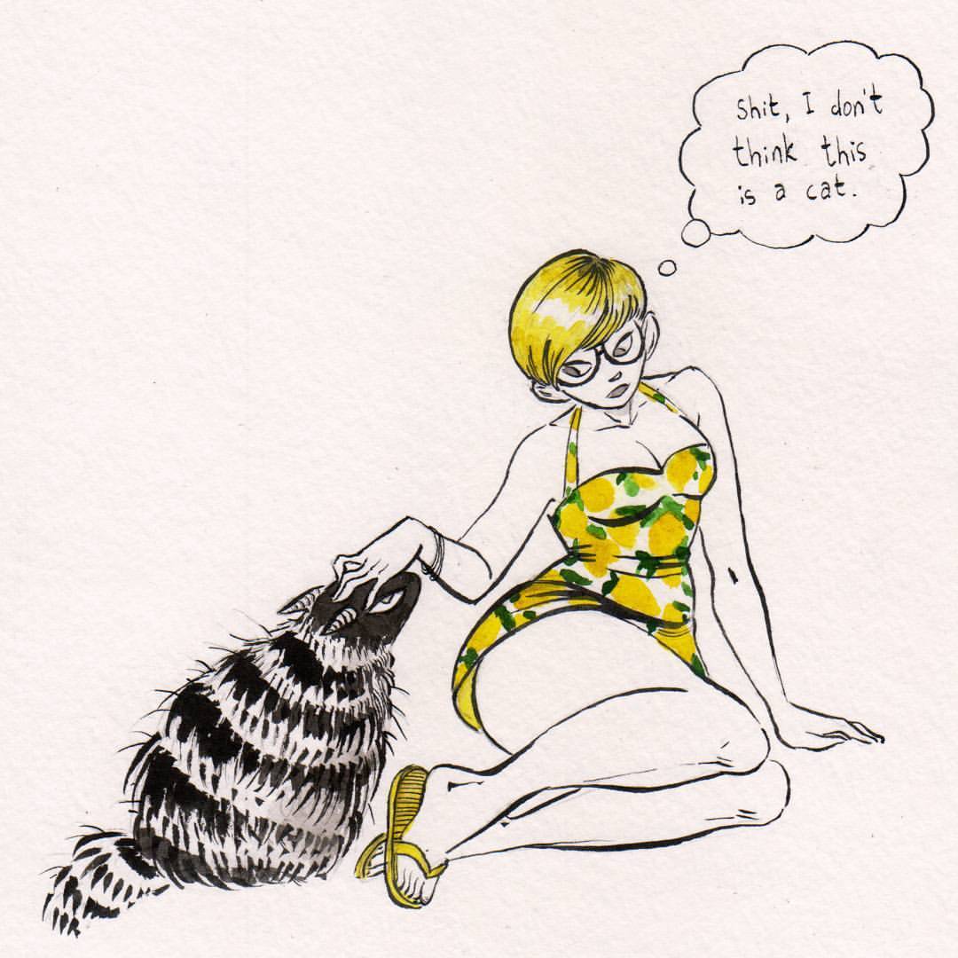 reneenault:Not a cat 