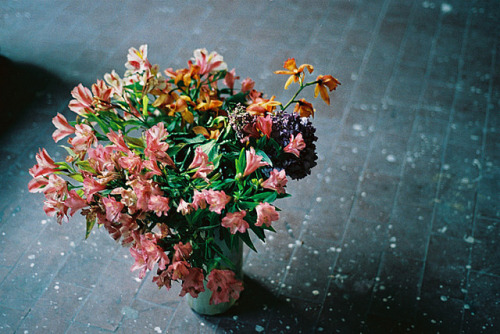 bittersympathy:  untitled by Sarita Lolita on Flickr. 