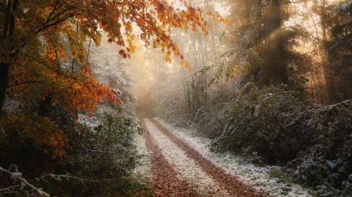 Frosty Fall on the Church Paths, De Lutte (The Netherlands)