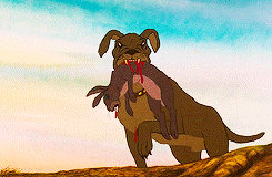 teflonly:  I just wanted to watch a film about bunnies. 