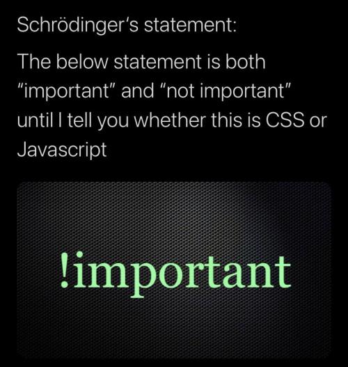 programmerhumour:Schrodinger’s statement