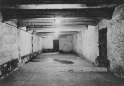 congenitaldisease:  Gas chamber in the main camp of Auschwitz immediately after liberation. Poland, January 1945.  