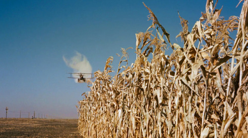 “That’s funny.”“What?”“That plane’s dusting crops where there ain’t no crops.”North by Northwest (19