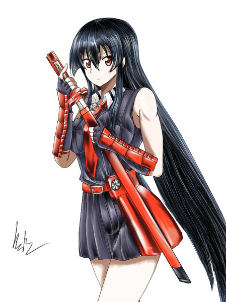 lunyxx:  Akame Ga Kill 