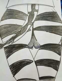 acesneversfw:  A zebra butt. I randomly wanted to draw one so I did. And honestly I think it looks awesome! =3 What do you guys think? 