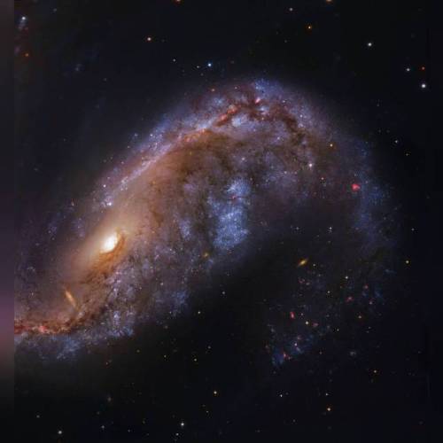 Porn photo NGC 2442: Galaxy in Volans #nasa #apod #hubblelegacyarchive