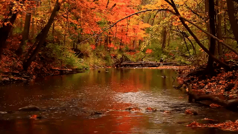 Solarpunk Autumns. Solarpunk Winters.