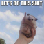 wheek-wheek