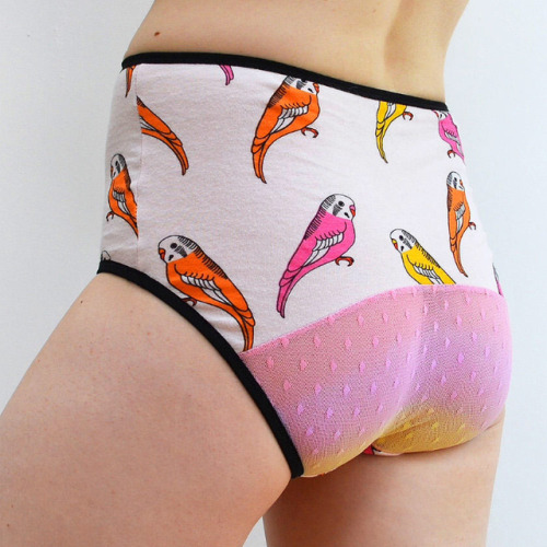 Just listed these budgie print knickers in the Etsy shop (link in profile). They have a mesh lace ba