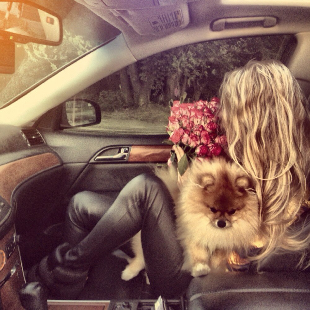 American Dreams