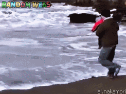 randomweas:  Padres con Reflejos Ninja 