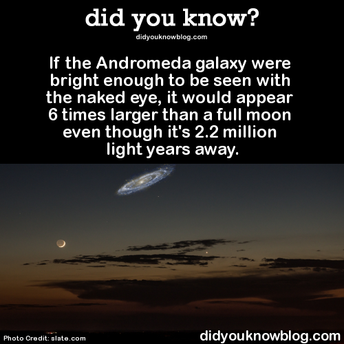 did-you-kno:  If the Andromeda galaxy were bright enough to be seen with the naked