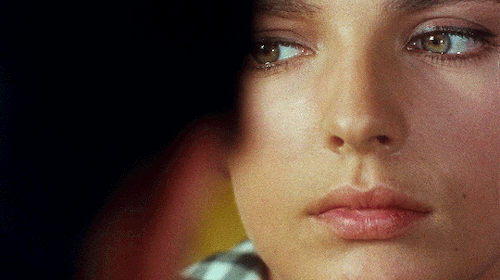 filmgifs:Purple Noon (1960) dir. René Clément