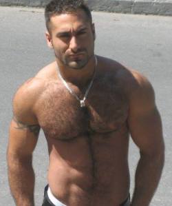 hairymacho:  https://www.pinterest.com/alexmos2/machoman2014