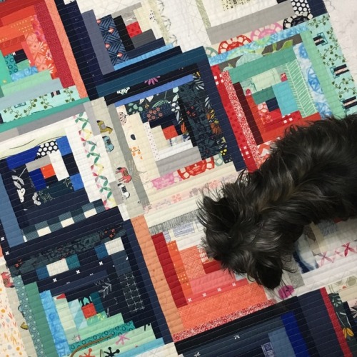 Log cabin quilting: This week, I finished quilting my log cabin scrap quilt. I decided on straight l