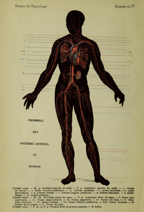 Notions de physiologie, à l'usage de la jeunesse et des gens du monde, 1886