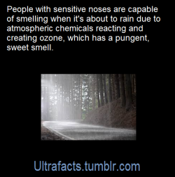 ultrafacts:  Source: [x] Click HERE for more facts! 