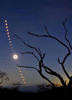 astronomyblog:    Total Solar Eclipse 2012 Australia  by:  Katie Darby