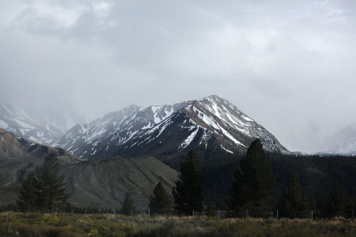 jonahreenders:   The Wandering Project  is now for sale!  All photographs by: Jonah Reenders 