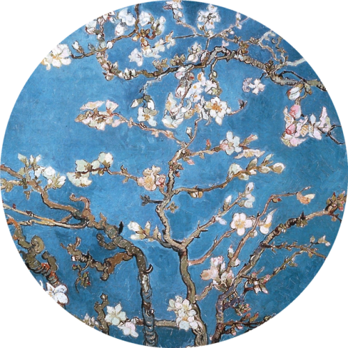 detailedart:Blossoming Van Gogh (1853-1890)